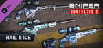 Sniper Ghost Warrior Contracts 2 - Hail & Ice Skin Pack banner image