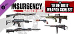 Insurgency: Sandstorm - True Grit Weapon Skin Set banner image