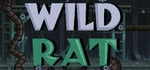 Wild Rat banner image