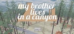 my brother lives in a canyon steam charts
