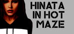 Hinata in Hot Maze steam charts