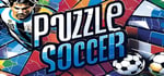 Puzzle Soccer steam charts
