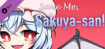 Save Me, Sakuya-san!: Remilia Scarlet's Coin And Glass Game. banner image