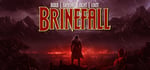 Brinefall banner image