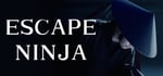 Escape Ninja steam charts