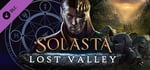 Solasta: Crown of the Magister - Lost Valley banner image