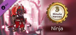 3 Minute Heroes - Ninja (Rogue Skin) banner image