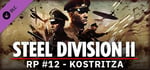 Steel Division 2 - Reinforcement Pack #12 - Kostritza banner image