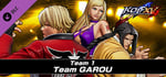 THE KING OF FIGHTERS XV - DLC Characters "Team GAROU" banner image