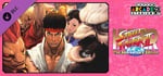 Capcom Arcade 2nd Stadium: Hyper Street Fighter II: The Anniversary Edition banner image