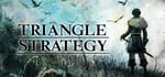 TRIANGLE STRATEGY steam charts