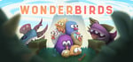 Wonderbirds steam charts
