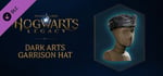 Hogwarts Legacy: Dark Arts Garrison Hat banner image