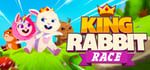King Rabbit - Race steam charts