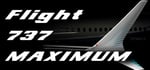 Flight 737 - MAXIMUM steam charts