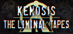 Kenosis: The Liminal Tapes steam charts
