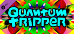 Quantum Tripper - Nanofest banner image
