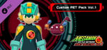 Mega Man Battle Network Legacy Collection Vol. 1 - Custom PET Pack Vol. 1 banner image