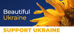 Beautiful Ukraine steam charts