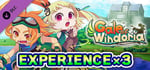 Experience x3 - Gale of Windoria banner image