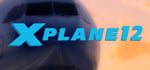 X-Plane 12 steam charts