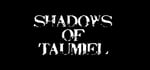 Shadows of Taumiel steam charts