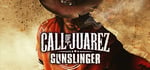 Call of Juarez: Gunslinger banner image