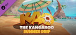 Kao the Kangaroo - Summer Drip banner image