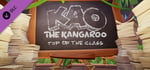 Kao the Kangaroo - Top of the Class banner image
