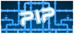 PIP banner image