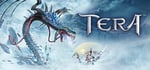 TERA - Action MMORPG banner image