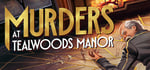 Murders at Tealwoods Manor steam charts