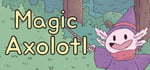 Magic Axolotl steam charts