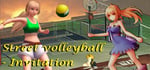 Street volleyball - Invitation banner image