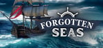 Forgotten Seas steam charts