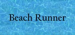 Beach Runner steam charts