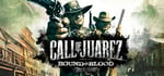 Call of Juarez: Bound in Blood steam charts