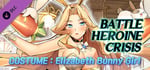 Battle Heroine Crisis COSTUME : Elizabeth Bunny Girl banner image