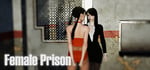 Female Prison steam charts