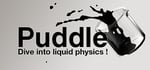 Puddle steam charts