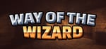 Way of the Wizard steam charts