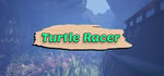 Turtle Racer steam charts