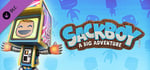 Sackboy™: A Big Adventure - Video Game Costume banner image