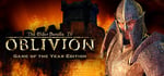 The Elder Scrolls IV: Oblivion® Game of the Year Edition banner image