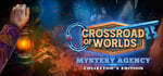 Crossroad of Worlds: Mystery Agency Collector's Edition steam charts