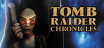 Tomb Raider V: Chronicles banner image