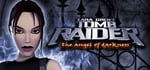 Tomb Raider VI: The Angel of Darkness steam charts