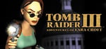 Tomb Raider III (1998) banner image