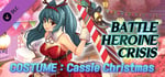 Battle Heroine Crisis COSTUME : Cassie Christmas banner image