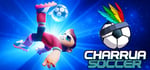 Charrua Soccer - Pro Edition banner image